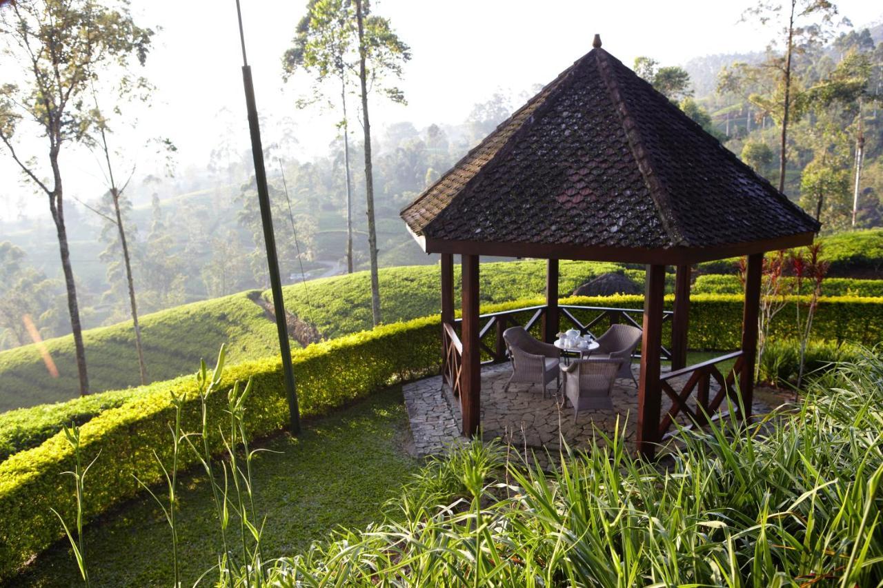 Ceylon Tea Trails - Relais And Chateaux Hatton Zewnętrze zdjęcie