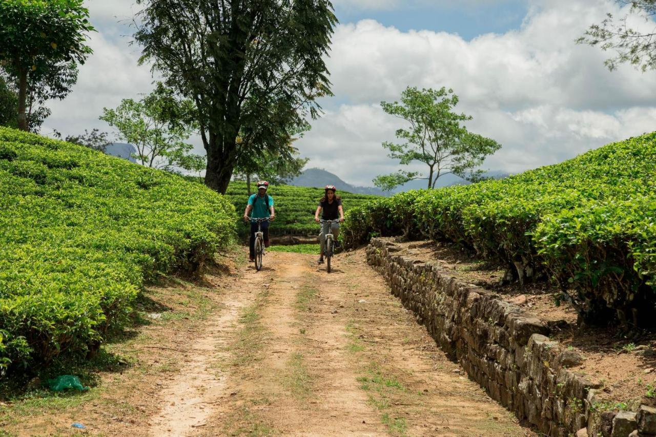 Ceylon Tea Trails - Relais And Chateaux Hatton Zewnętrze zdjęcie